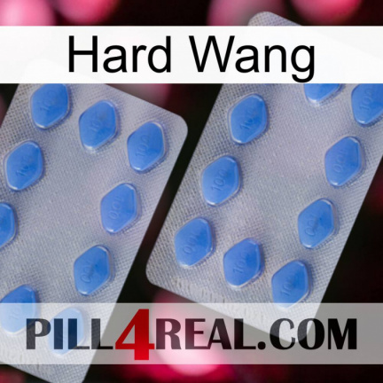 Hard Wang 20